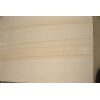sandstone