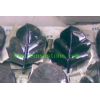granite leaf