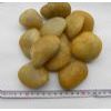 yellow river pebbles