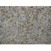 granite g682