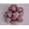 pink pebble, chocolate pebble