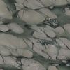 Lotus Green chinese Marble