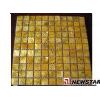 Shell mosaic tile