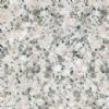 Grey White Granite