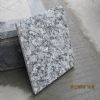 China Stone manufacturer supply cheap granite
