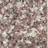 G664 Misty Brown