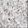 Shandong White