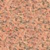 Salisbury Pink