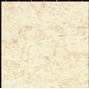 Graceful Beige