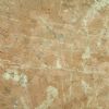 ROJO ALCANTE Marble
