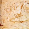Grey Floral Marble Slab