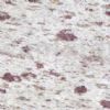 White Galaxy granite tile