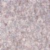 Granite