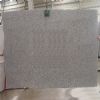 G603 slab