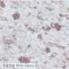 White Galaxy Granite
