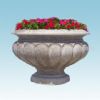 flower pot