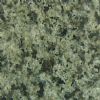 China Green Grantie