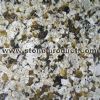 Granite JX Green