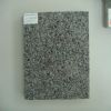G654 wall tiles