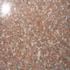 Shidao red B- G3786 granite