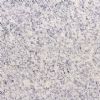 Granite