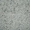 Grey Paving Stone