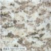 Tiger Skin White Granite