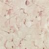 ITALY_TRANI-FIORITO MARBLE STONE