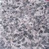 Lepoard Skin Granite