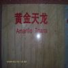 Amarillo Triana Marble