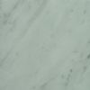VENVATA WHITE Marble