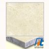 Marble Granite Compound Tile / Slab (Century Beige)