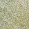 Yellow Granite
