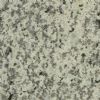 Tigerskin White Granite