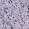 G383 tiles