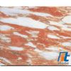 Marble (Norweigian rose)