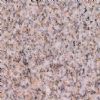 G350 granite