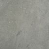 ASP-006-RTM