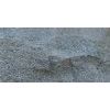ASP-006-RTS
