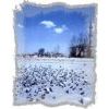 Andesite Plaza Paver