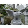 ANM-062