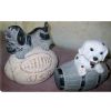 Animal Carvings-009