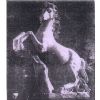 Animal Figure 4