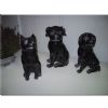 Dogs, little