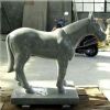 Granite Animal AP002