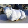Granite Animal N001