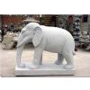 Granite Animal N002