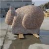 Granite Animal N010