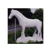 Horse, standing