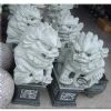Lions